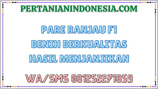 Pare Ranjau F1 Benih Berkualitas Hasil Menjanjikan